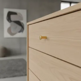 Knopfgriff PAREA / Gebürstetes Gold