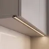 Transparent