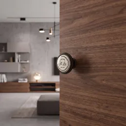 Knopfgriff KING / Braun Metallic