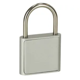 ZION Vorhängeschloss aus Gusseisen mit Fingerabdrucksensor
