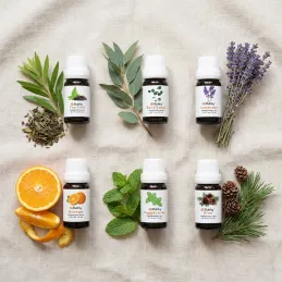 Set aus 6 Duftölen für Aromadiffusoren / 10 ml